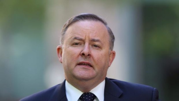 "Beyond belief": Shadow transport minister Anthony Albanese.