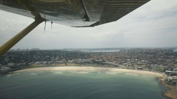 "Inefficient and expensive": An aircraft patrols for sharks over Bondi beach.