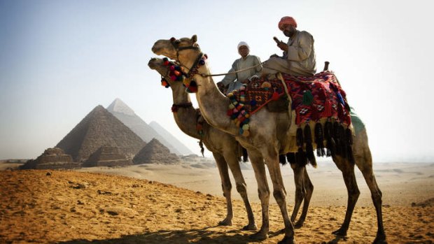 Camels at Giza.