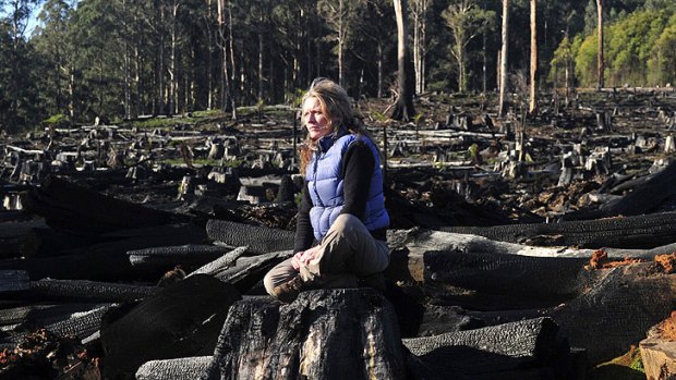 Activist Sarah Rees is worried that logging in the Toolangi State Forest will destroy the habitat of the Leadbeater's possum.