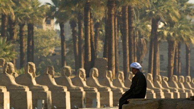 Ancient history ... sphinxes at Luxor Temple.