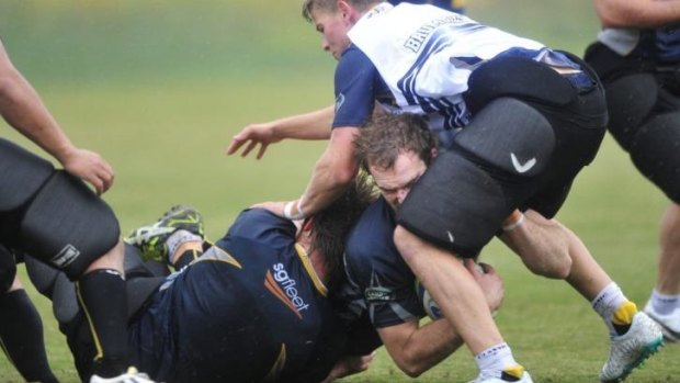Pat Mccabe appears to injure himself during Brumbies training on Tuesday.