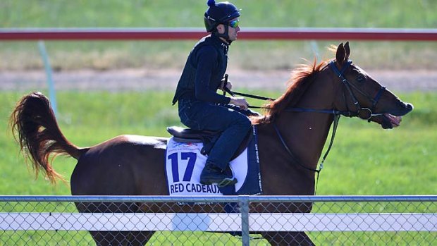 Ready: Cups contender Red Cadeaux is expected to have plenty of overseas company this year.