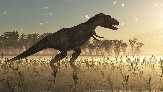 Fossilised evidence: An artist's impression of Tyrannosaurus rex.
