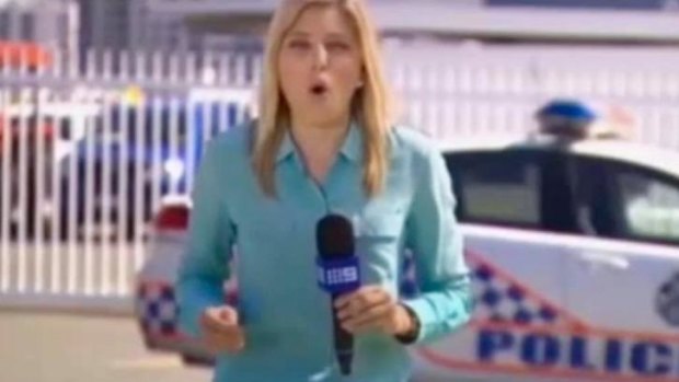Channel Nine reporter Alex Bernardt gets stung by a bull ant on air on Tuesday.