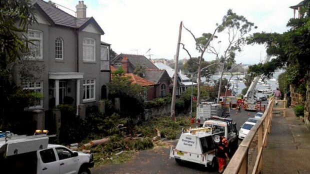 View of storm damage in Willoughby Street, Kirribilli.
