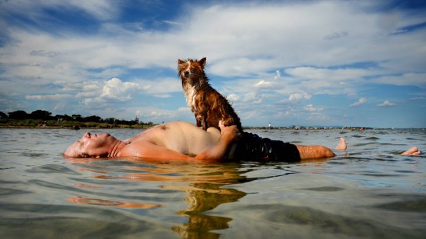 Hot Dog: Jason South's winning entry for the lifestyle photograph of the year.