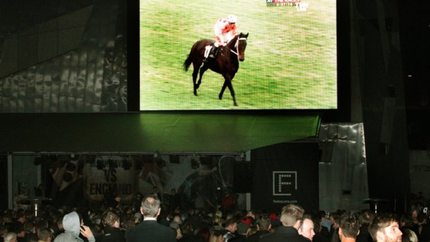 Screen saviour... the crowd watch Black Caviar hobble back after her famous victory.