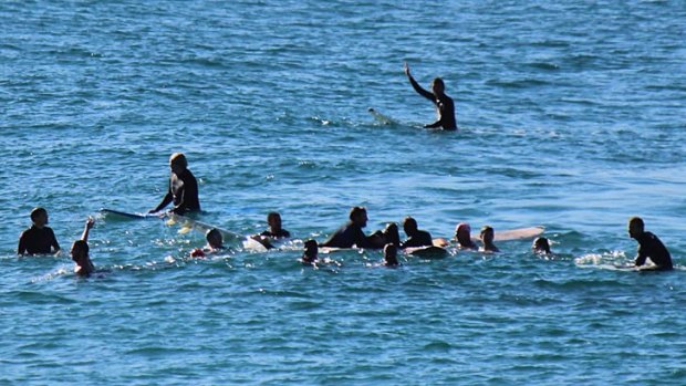 THE AFTERMATH ... surfers rush to the aid of the victim, Bishan Rajapakse.