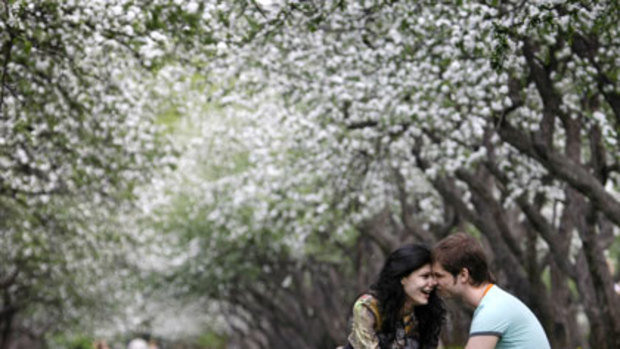 Optimism blossoms... a young couple enjoy the early spring sunshine in Moscow's Kolomenskoe Park this week as temperatures hit 25 degrees in the Russian capital.