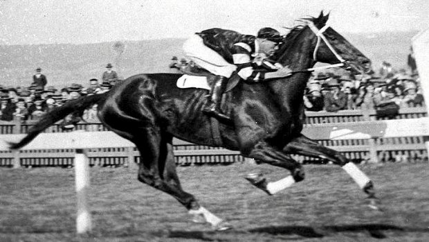 The great Phar Lap in action.