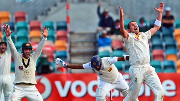 Big day: Peter Siddle traps Thilan Samaraweera leg-before and was later cleared of ball tampering.