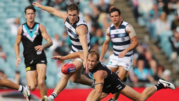Joel Selwood competes for the ball with Matt Thomas.
