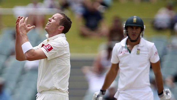 Faffing about &#8230; Siddle curses the Proteas blockade.
