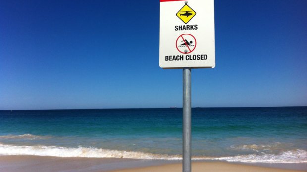 A sign advising of a beach closure after a shark sighting.