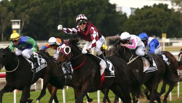 Triumph: Tim Bell rides Tinto to victory in the Queensland Oaks.