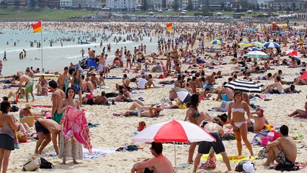 Enough exposure: The summer crowds at Bondi Beach get their hit of vitamin D.
