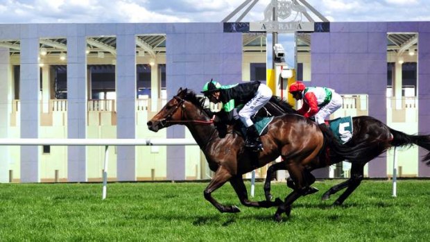 Blake Shinn guides Loceano home in the class 1 handicap (1200m) at Thoroughbred Park on Sunday.