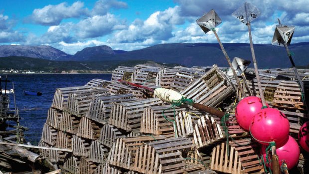 Lobster traps at Woody Point.