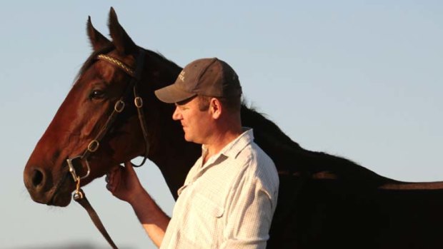Of great promise &#8230; Scone trainer Rod Northam with Snitzel filly Tinszelda, a winner at the cup carnival.