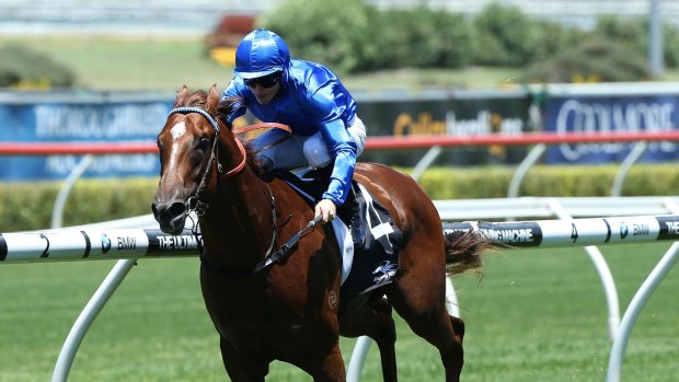 Juvenile success: Haptic joined Godolphin's two-year-old honour roll at Randwick on Saturday.