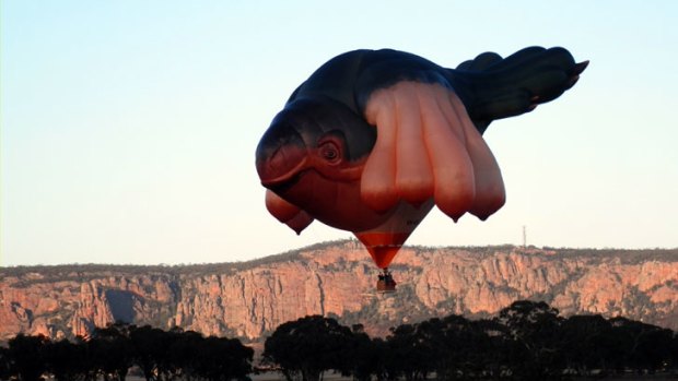 This balloon had locals wondering when it was spotted near Mt Arapiles, in Victoria, last month.