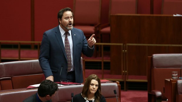 Greens Senator Peter Whish-Wilson fears inquiries could be junked.