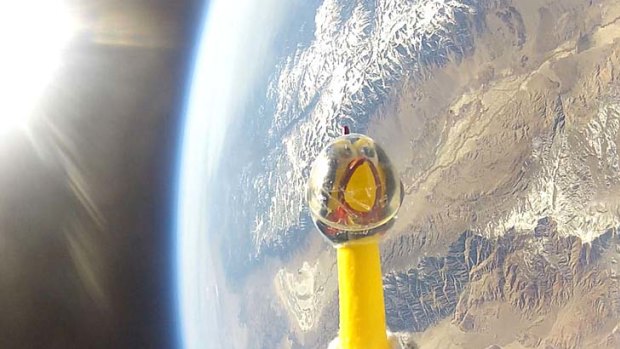 Camilla the rubber chicken is seen at 38,039m above California in this NASA handout image.