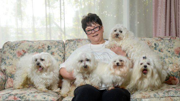 Sally Austin with her dogs, Max, Mitchell, Sunday, Macca and Sparky. 