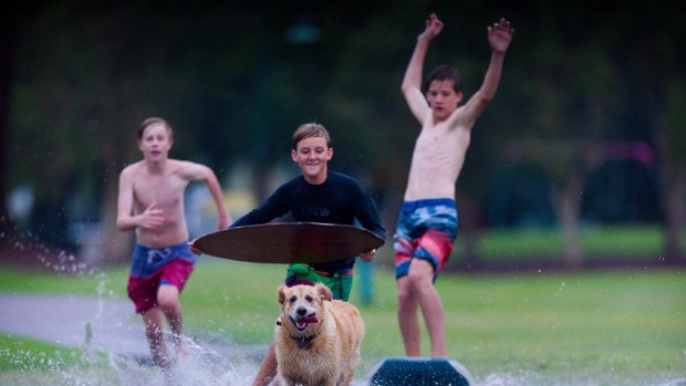 Boys jump on boogie boards in a park on the Wynnum foreshore from rain after Tropical Cyclone Marcia.