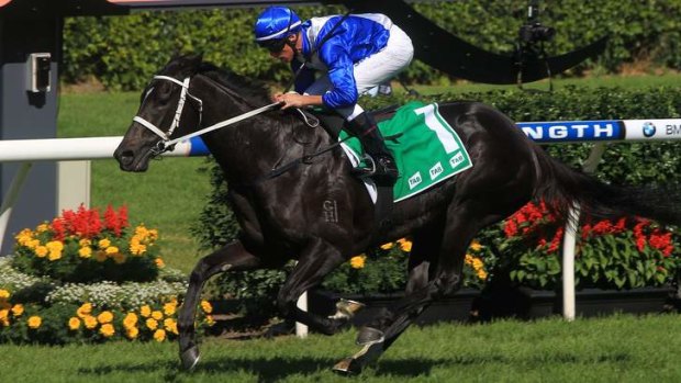 Bolt from the blue: Royal Descent is Chris Waller's wildcard in Saturday's Australian Oaks at Randwick.