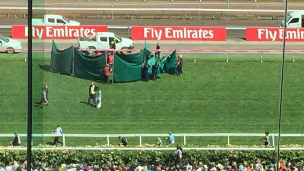 A curtain surrounds Red Cadeaux on the Flemington straight.