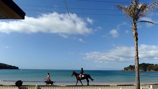 Inspiring terrain .. people walk a dog and a horse towards the beach at Oneroa Bay.