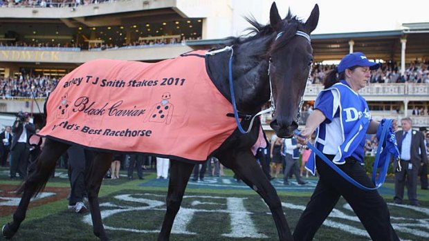 Triumph: Black Caviar after winning the Darley T.J. Smith Stakes at Randwick last month.