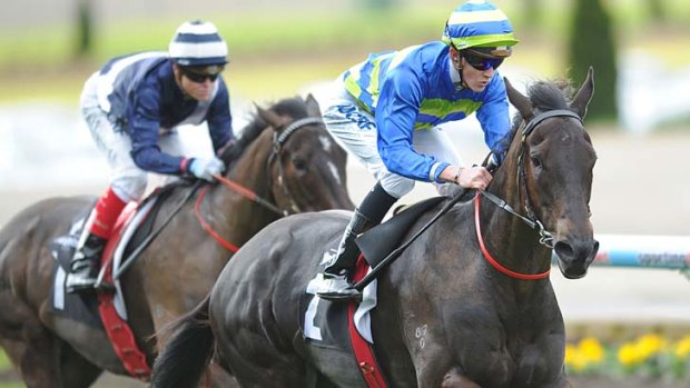 Guineas-bound: Chad Schofield on rising three-year-old Gregers.