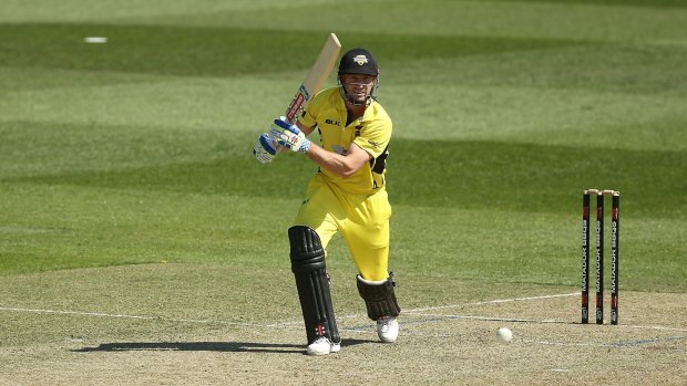 Injury concern: Shaun Marsh may not be fit for the first Test.