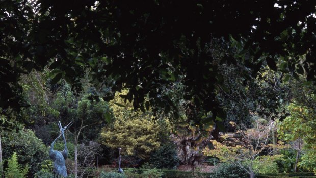 The Geelong Botanic Gardens are part of the heritage-listed Eastern Park.. 