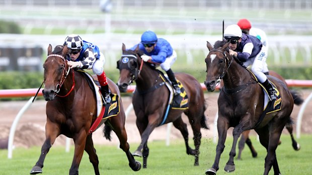 In full flight: Big Duke wins the Chairmans Handicap at Randwick in the autumn.