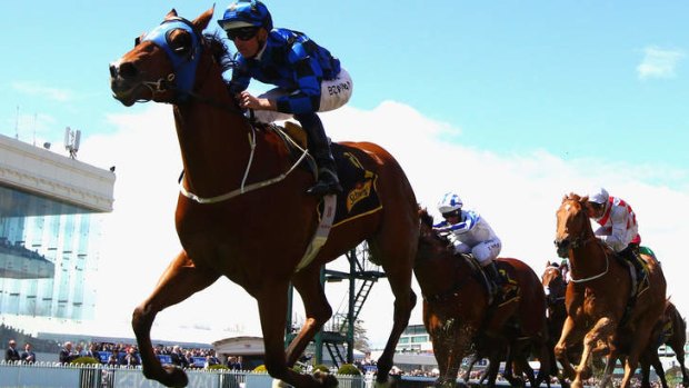 Real trier: Buffering wins the Schillaci Stakes at Caulfield last October.