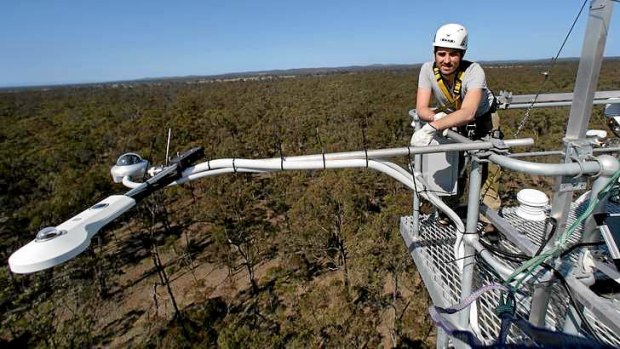 Complex: Monash University's Ian McHugh checks monitoring equipment high above the dry eucalypt forests behind Nagambie.