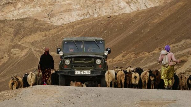A rally car shares the road in Pamir with livestock.