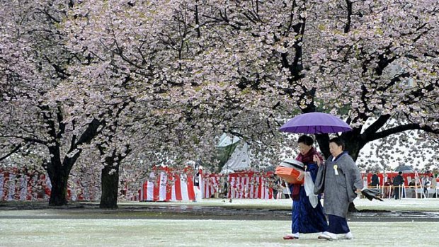 Blossoming ... women wearing kimonos walk on a snow-clad garden in Tokyo.