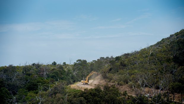 Earth-moving equipment working in Kennett River. A firefighting crew from New Zealand are expected to arrive at the fire ground on Monday.