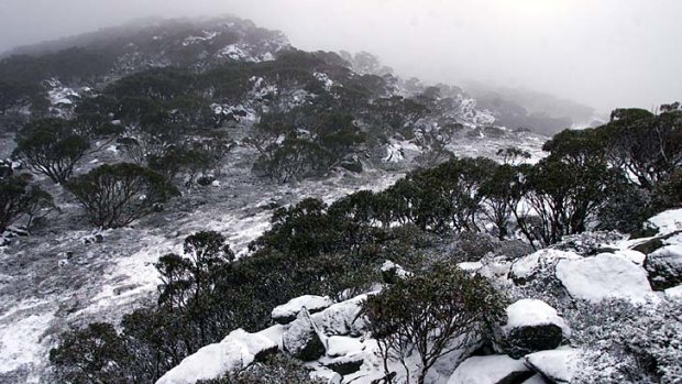 Safe and sound ...  Dan Shadur walked 25 kilometres through the Kosciuszko National Park to save his family.