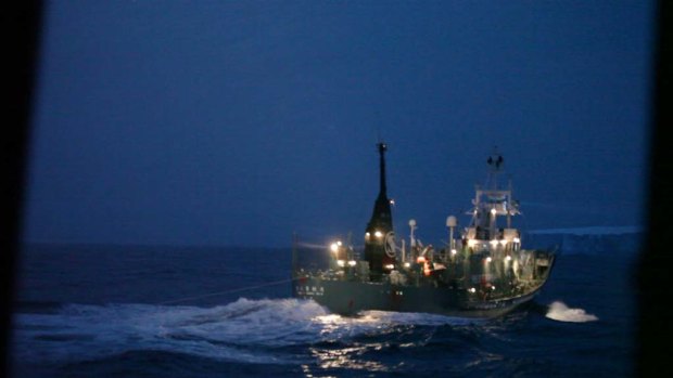 A rope trails from the stern of a Japanese harpoon ship as it passes near the Sea Shepherd ship Bob Barker.