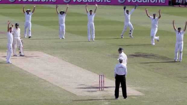 All hail the Ashes winners: England players go up in unison, appealing for the wicket of Michael Hussey on day four of the fifth Test in Sydney yesterday. Hussey survived, but not for long.
