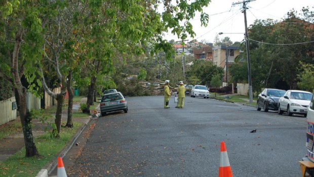 Sunday afternoon's fleeting storm brought down trees and powerlines in Annerley. Photo: Cameron Kirby.