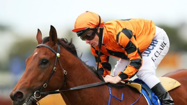 Strong return: Liberation wins at Rosehill a fortnight ago.