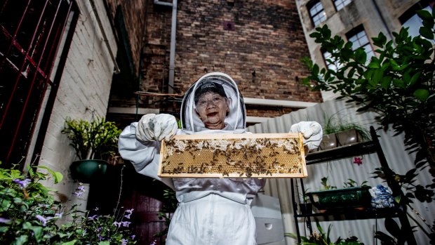 Urban bee keeper Ling Yoong with her bees in her small backyard in Millers Point.