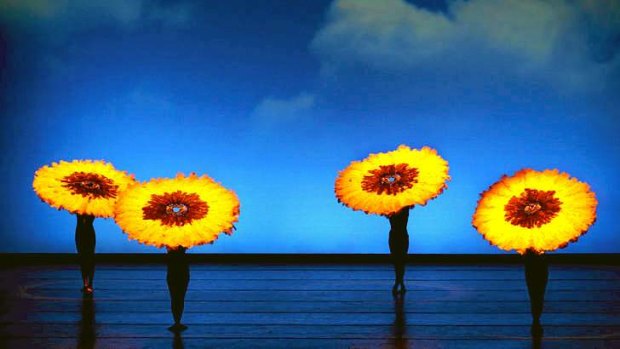 In <i>Botanica</i>, the dancers transform into flowers, bees, storm clouds and even a rather adorable snail.